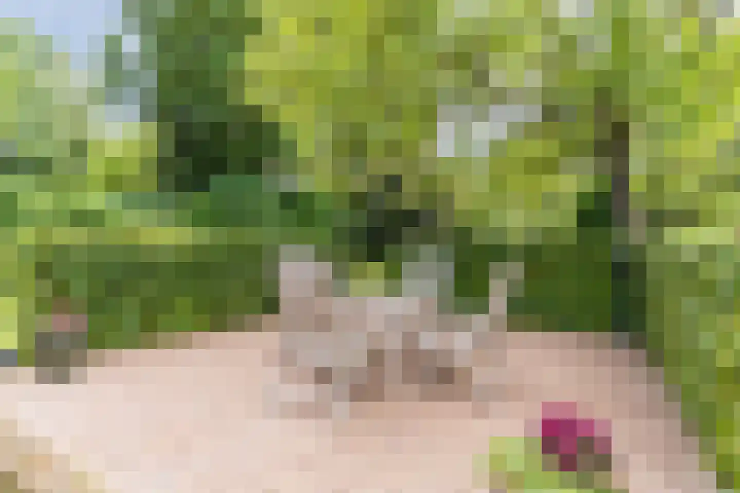 Pieter Theeuwenlaan 5 Heeze thumbnail 31