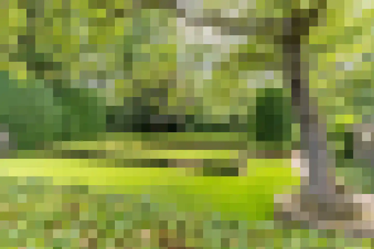 Pieter Theeuwenlaan 5 Heeze thumbnail 32