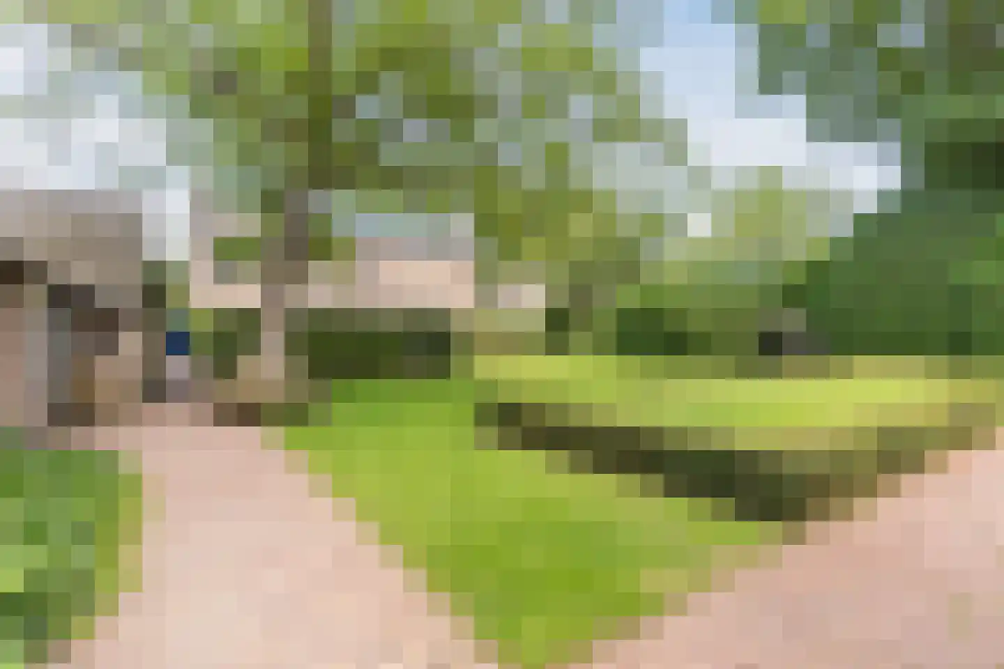 Pieter Theeuwenlaan 5 Heeze thumbnail 33
