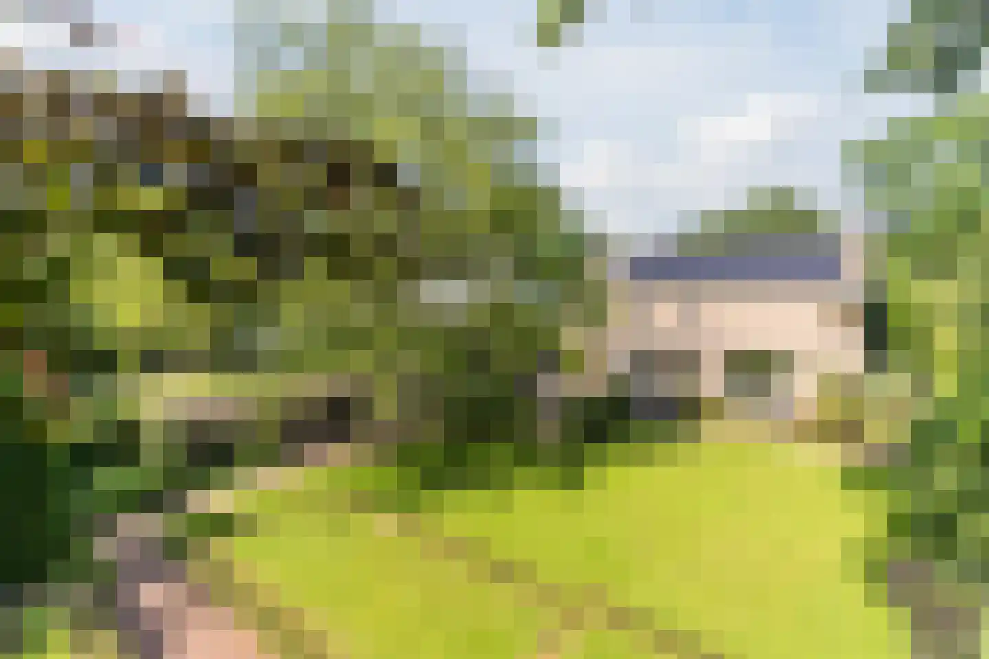 Pieter Theeuwenlaan 5 Heeze thumbnail 35