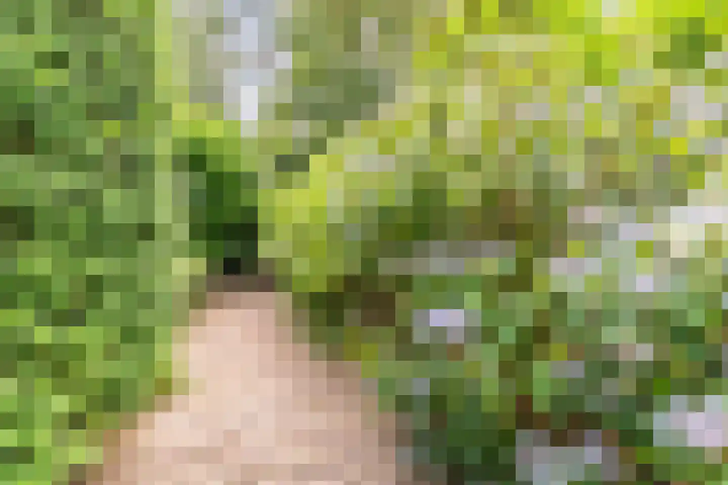 Pieter Theeuwenlaan 5 Heeze thumbnail 36