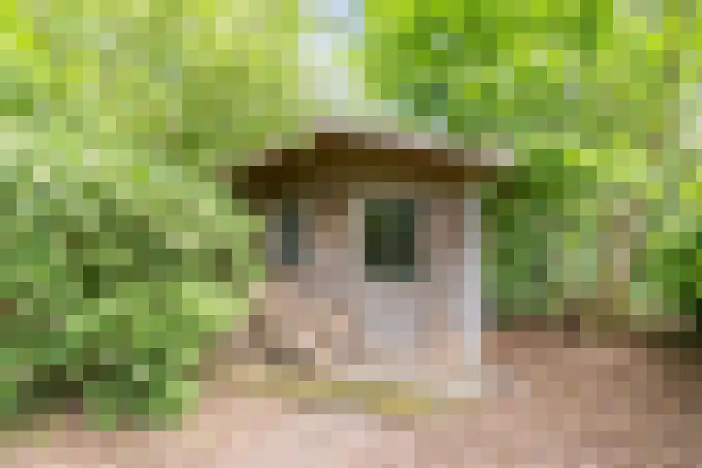 Pieter Theeuwenlaan 5 Heeze thumbnail 38