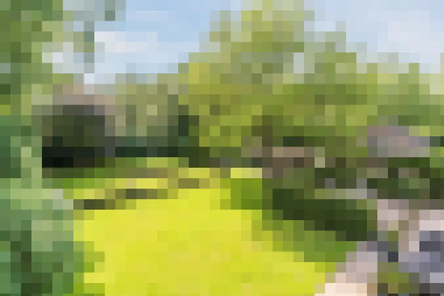 Pieter Theeuwenlaan 5 Heeze thumbnail 4