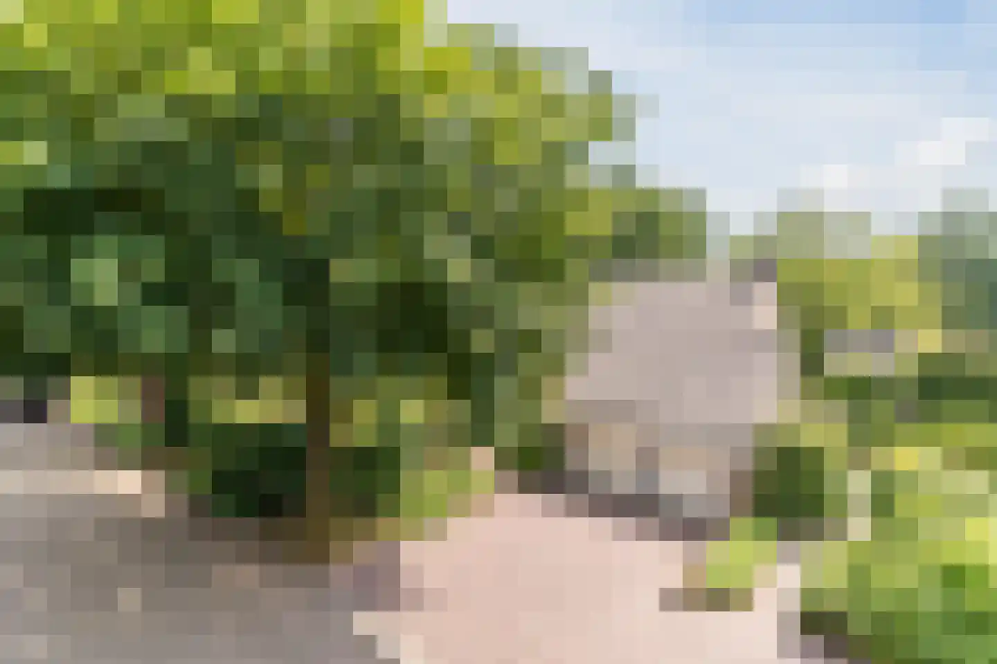 Pieter Theeuwenlaan 5 Heeze thumbnail 5