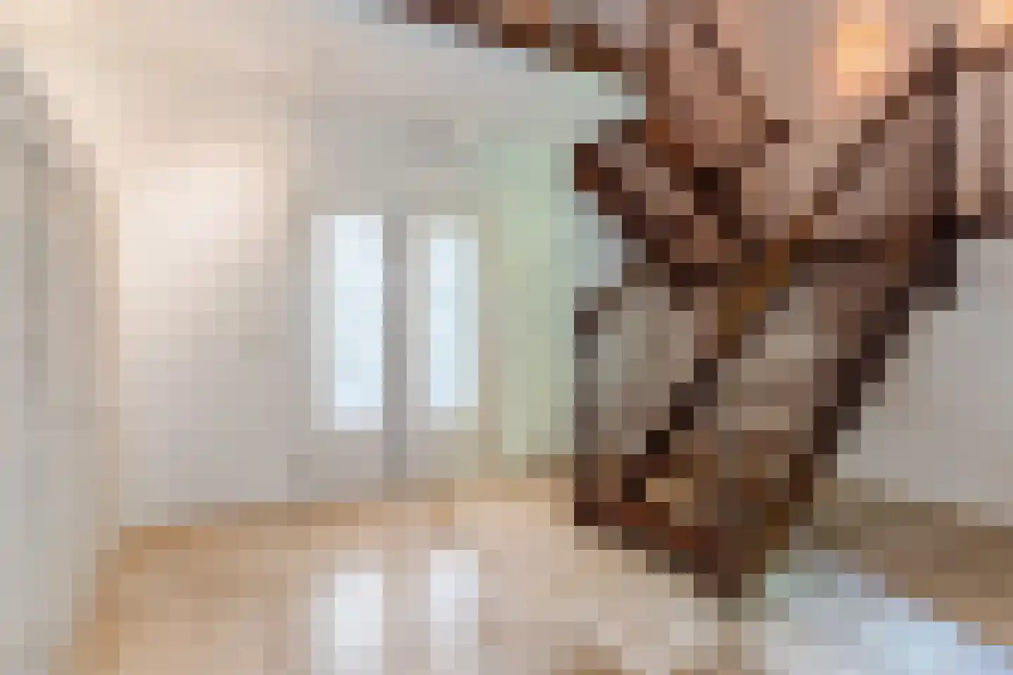 Pieter Theeuwenlaan 5 Heeze thumbnail 7