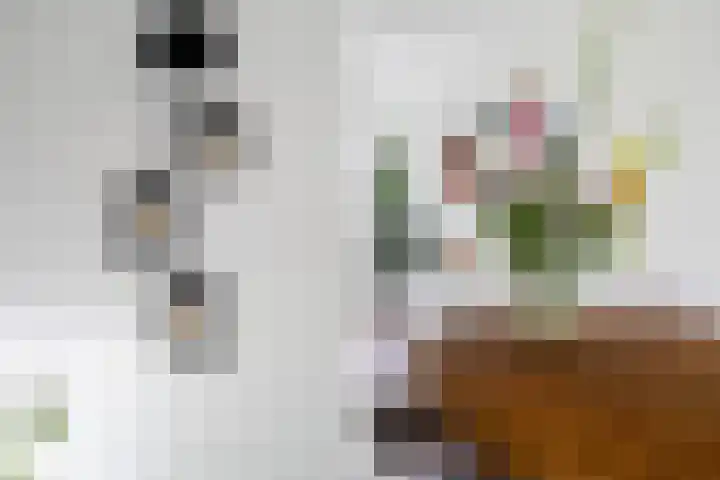 Pieter van Aschstraat 4 C Rotterdam thumbnail 34