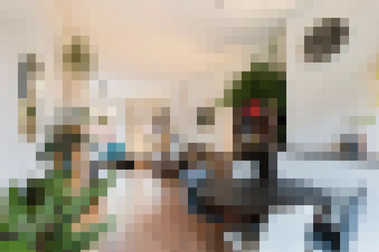 Pieter van Aschstraat 8 C Rotterdam thumbnail 20