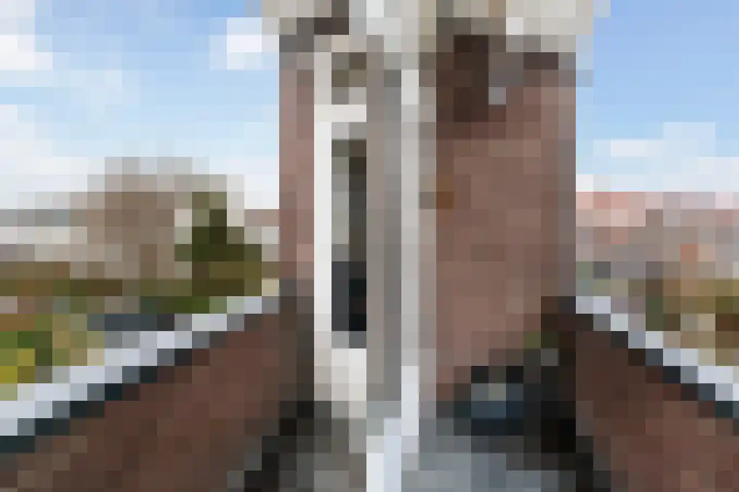 Pieter van Aschstraat 8 C Rotterdam thumbnail 22