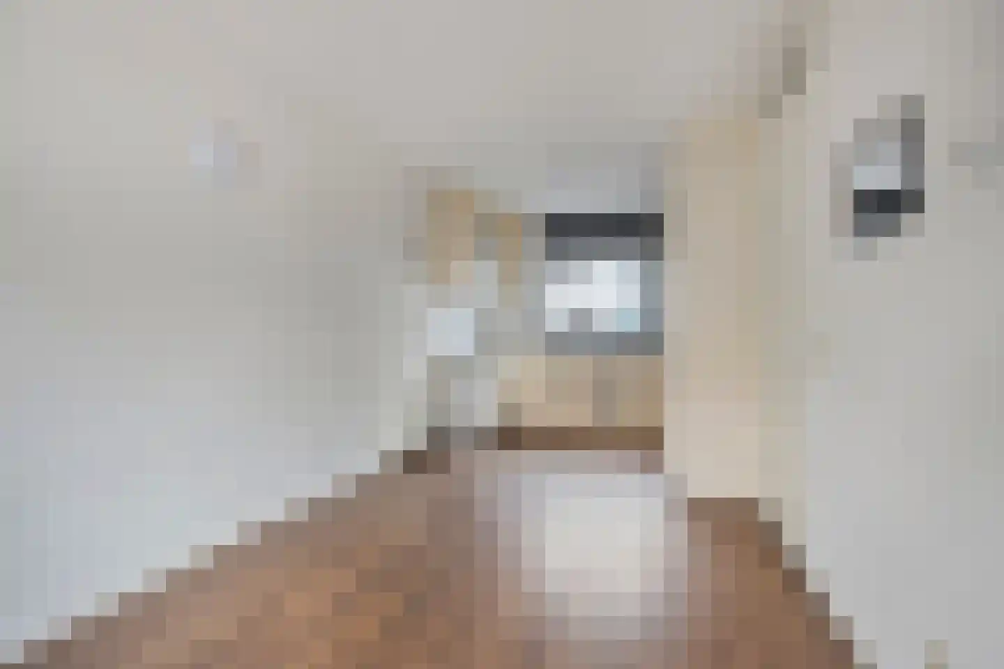 Pieter van Bleyswijkstraat 24 Zwolle thumbnail 13