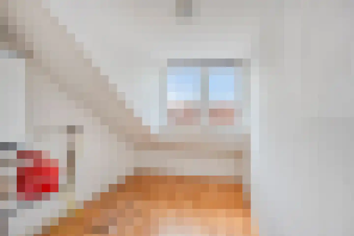 Pieter van Bleyswijkstraat 24 Zwolle thumbnail 26