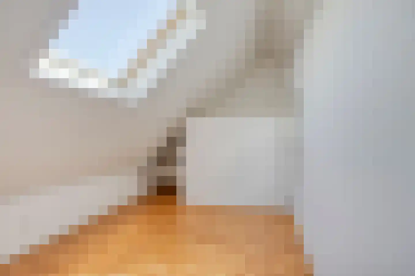 Pieter van Bleyswijkstraat 24 Zwolle thumbnail 31