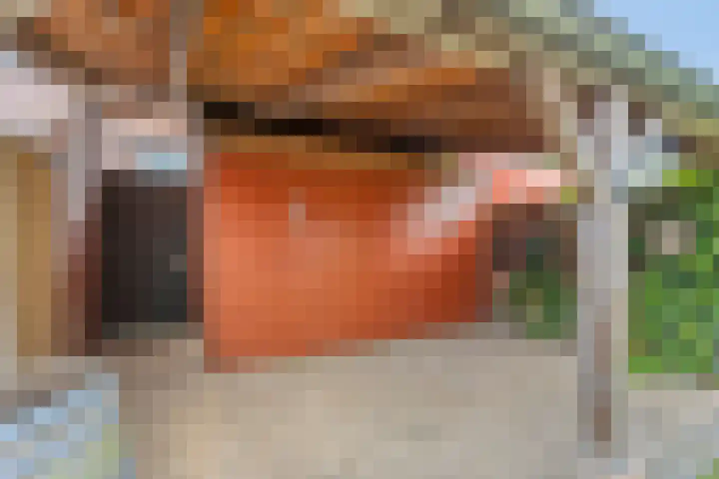 Pieter van Bleyswijkstraat 24 Zwolle thumbnail 34