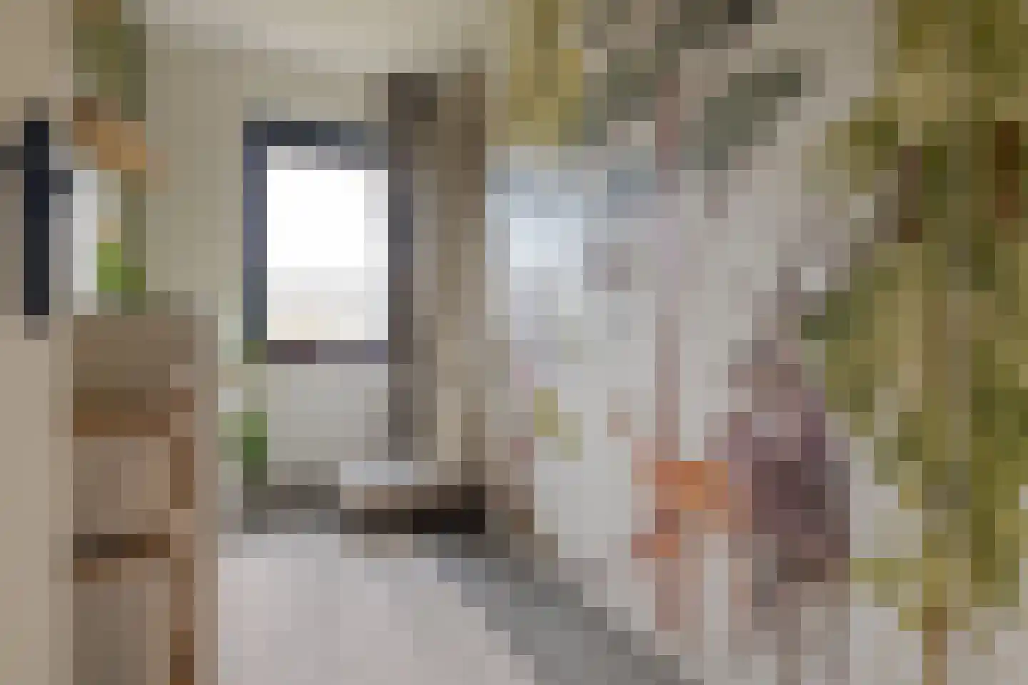 Pieter van Bleyswijkstraat 3 Zwolle thumbnail 30