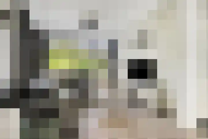 Pieter van Botlantlaan 2 Nieuw-Vossemeer thumbnail 12
