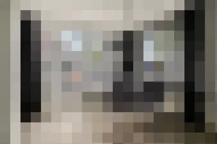 Pieter van Botlantlaan 2 Nieuw-Vossemeer thumbnail 13