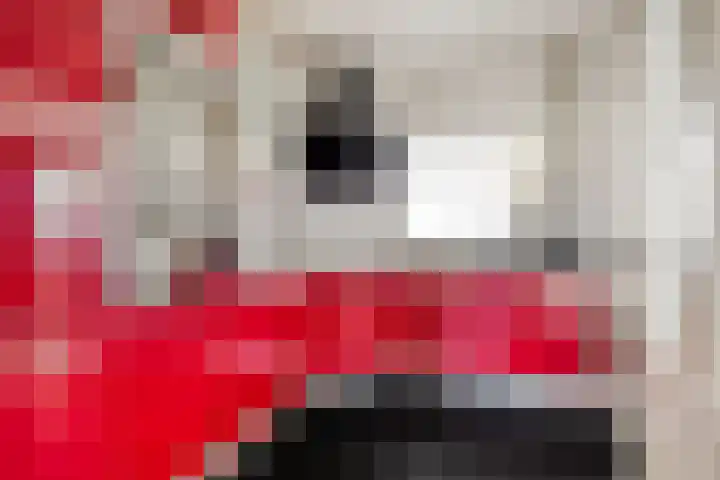 Pieter van Botlantlaan 2 Nieuw-Vossemeer thumbnail 16