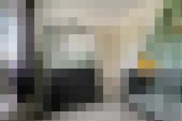 Pieter van Botlantlaan 2 Nieuw-Vossemeer thumbnail 21