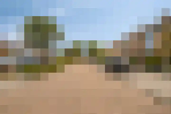Pieter van Botlantlaan 2 Nieuw-Vossemeer thumbnail 30