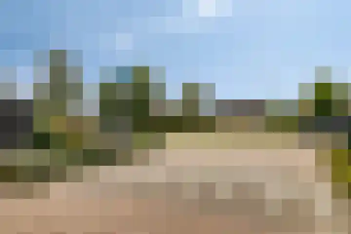 Pieter van Botlantlaan 2 Nieuw-Vossemeer thumbnail 31