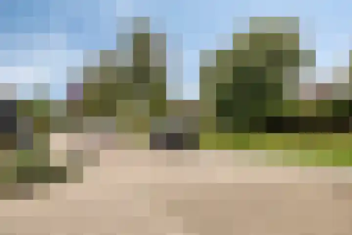 Pieter van Botlantlaan 2 Nieuw-Vossemeer thumbnail 32