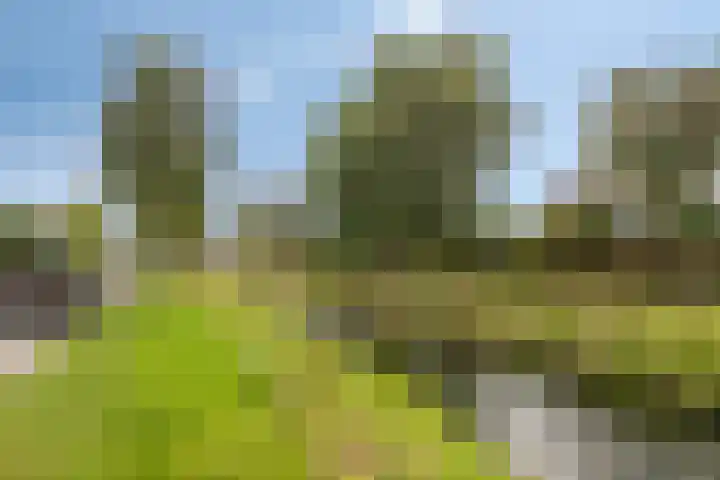 Pieter van Botlantlaan 2 Nieuw-Vossemeer thumbnail 34