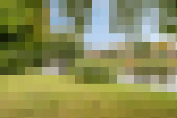 Pieter van Botlantlaan 2 Nieuw-Vossemeer thumbnail 35
