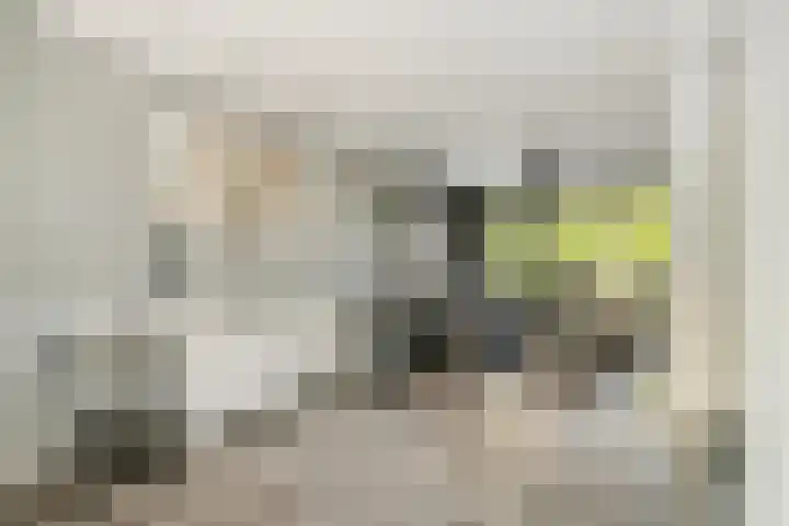 Pieter van Botlantlaan 2 Nieuw-Vossemeer thumbnail 4