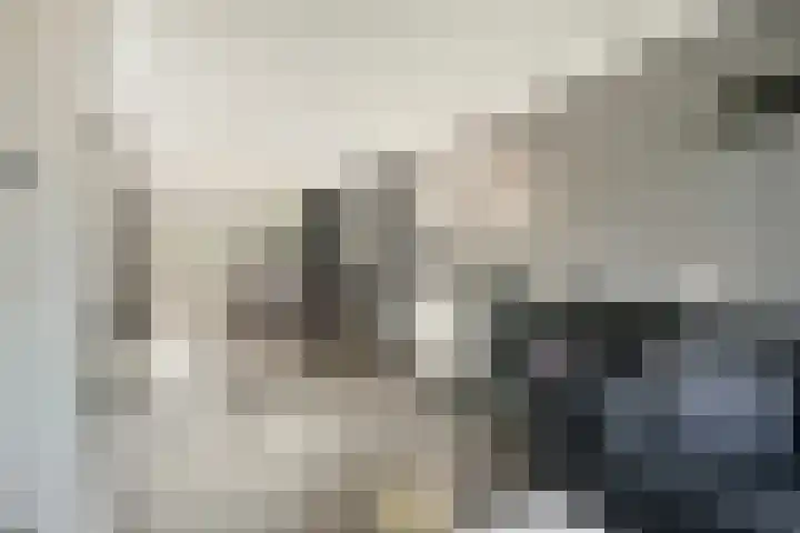 Pieter van Botlantlaan 2 Nieuw-Vossemeer thumbnail 5