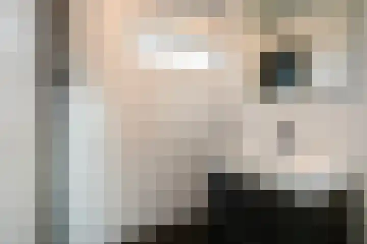 Pieter van Botlantlaan 2 Nieuw-Vossemeer thumbnail 7