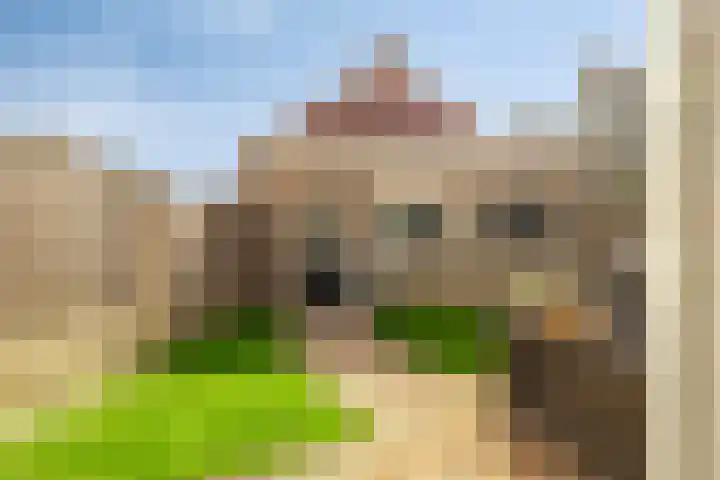 Pieter van Botlantlaan 2 Nieuw-Vossemeer thumbnail 8