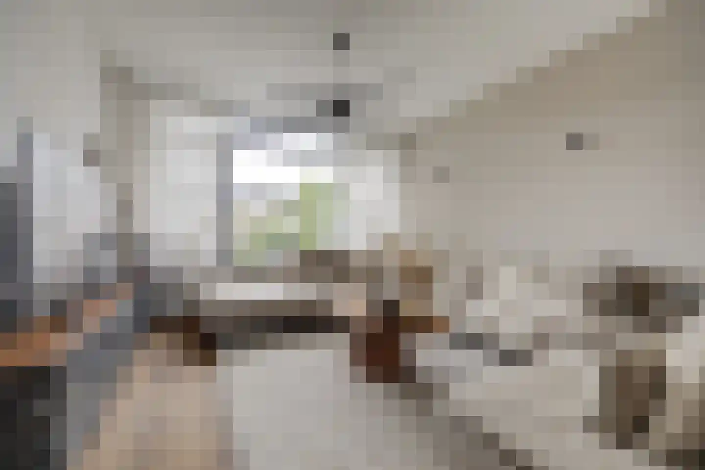 Pieter van Botlantlaan 28 Nieuw-Vossemeer thumbnail 13