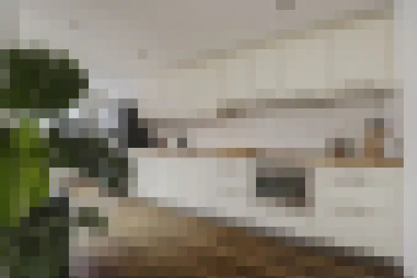 Pieter van Botlantlaan 28 Nieuw-Vossemeer thumbnail 17