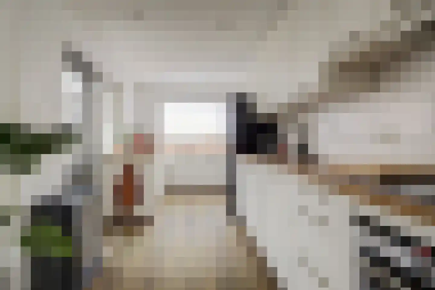 Pieter van Botlantlaan 28 Nieuw-Vossemeer thumbnail 18