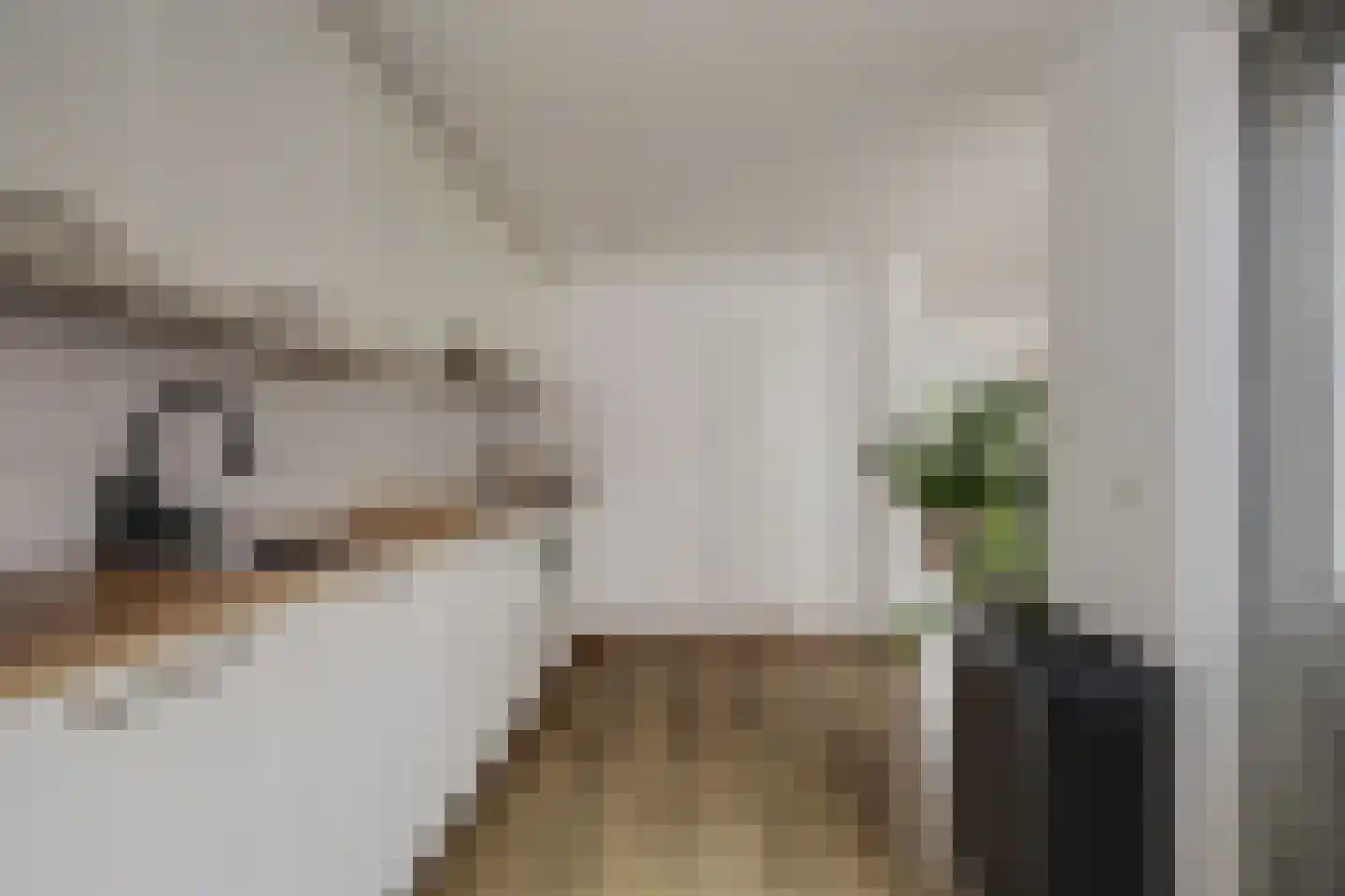 Pieter van Botlantlaan 28 Nieuw-Vossemeer thumbnail 19