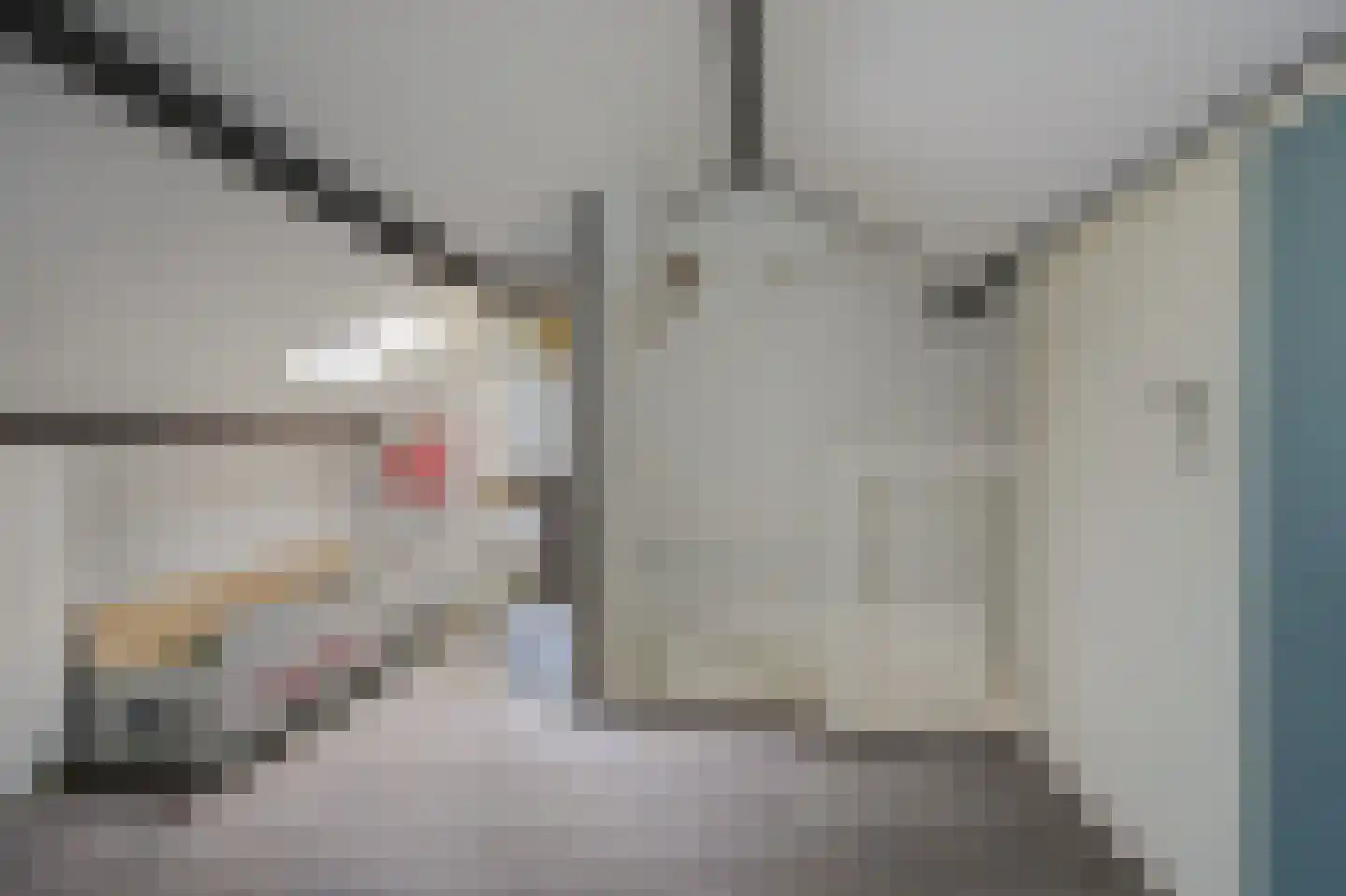 Pieter van Botlantlaan 28 Nieuw-Vossemeer thumbnail 27
