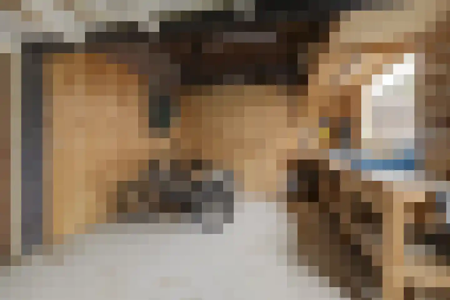 Pieter van Botlantlaan 28 Nieuw-Vossemeer thumbnail 33