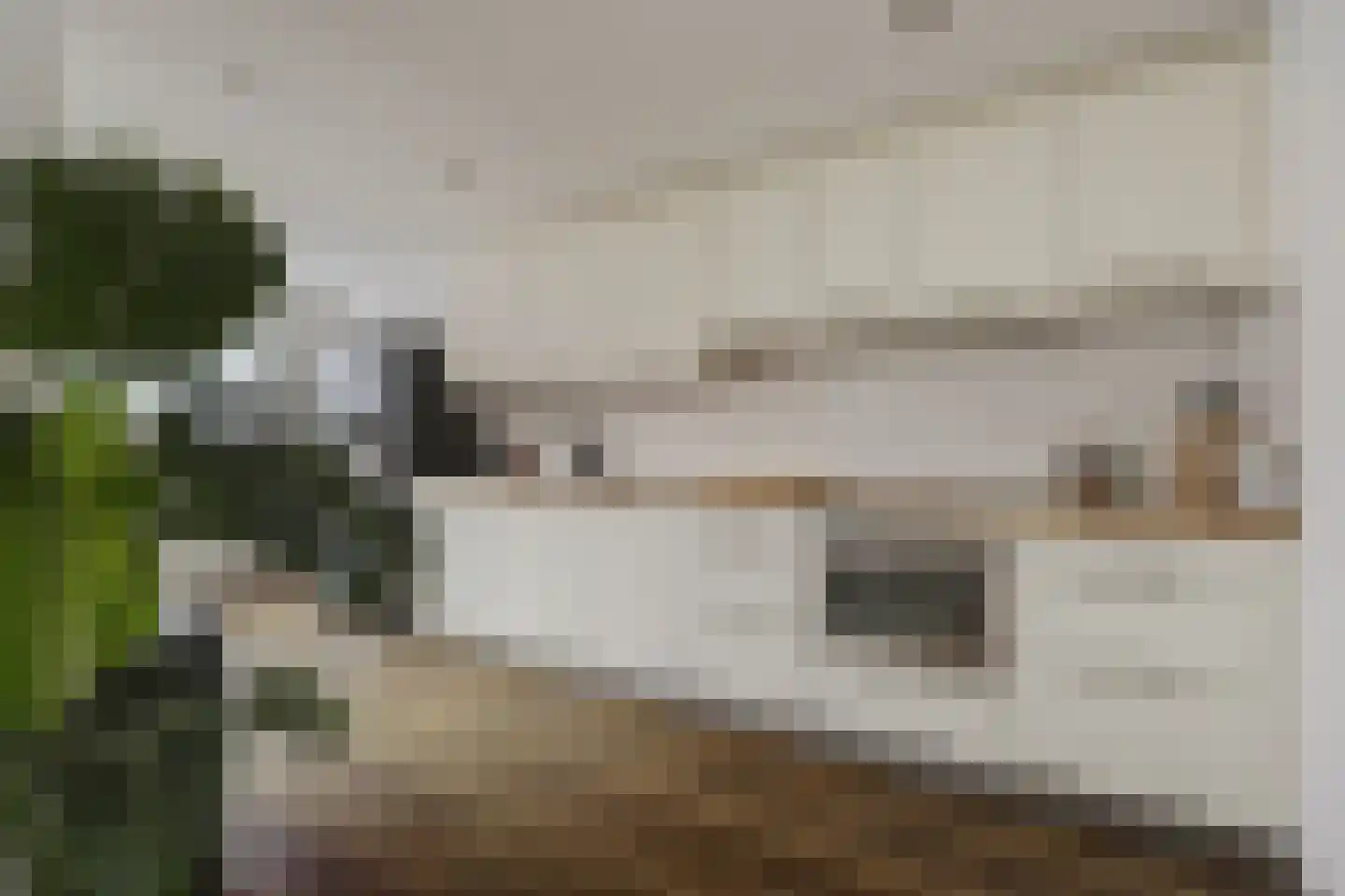 Pieter van Botlantlaan 28 Nieuw-Vossemeer thumbnail 4