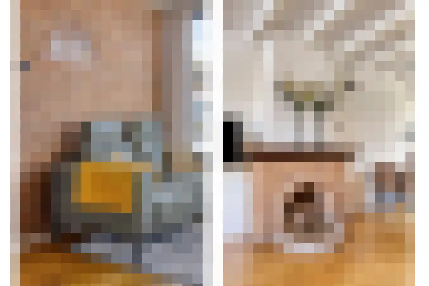 Pieter van Botlantlaan 8 Nieuw-Vossemeer thumbnail 13