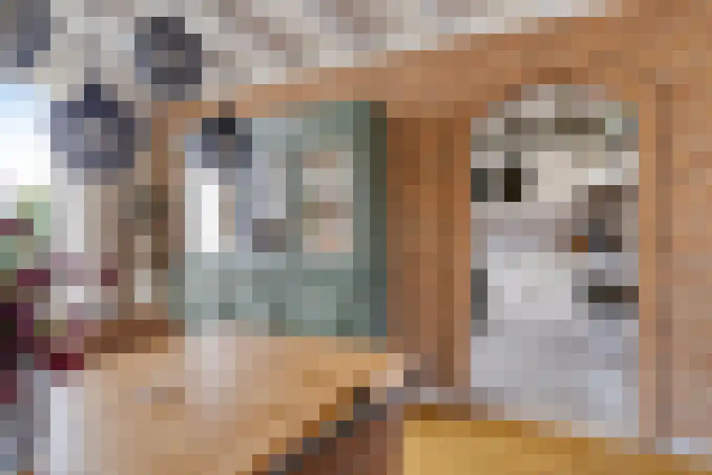 Pieter van Botlantlaan 8 Nieuw-Vossemeer thumbnail 15