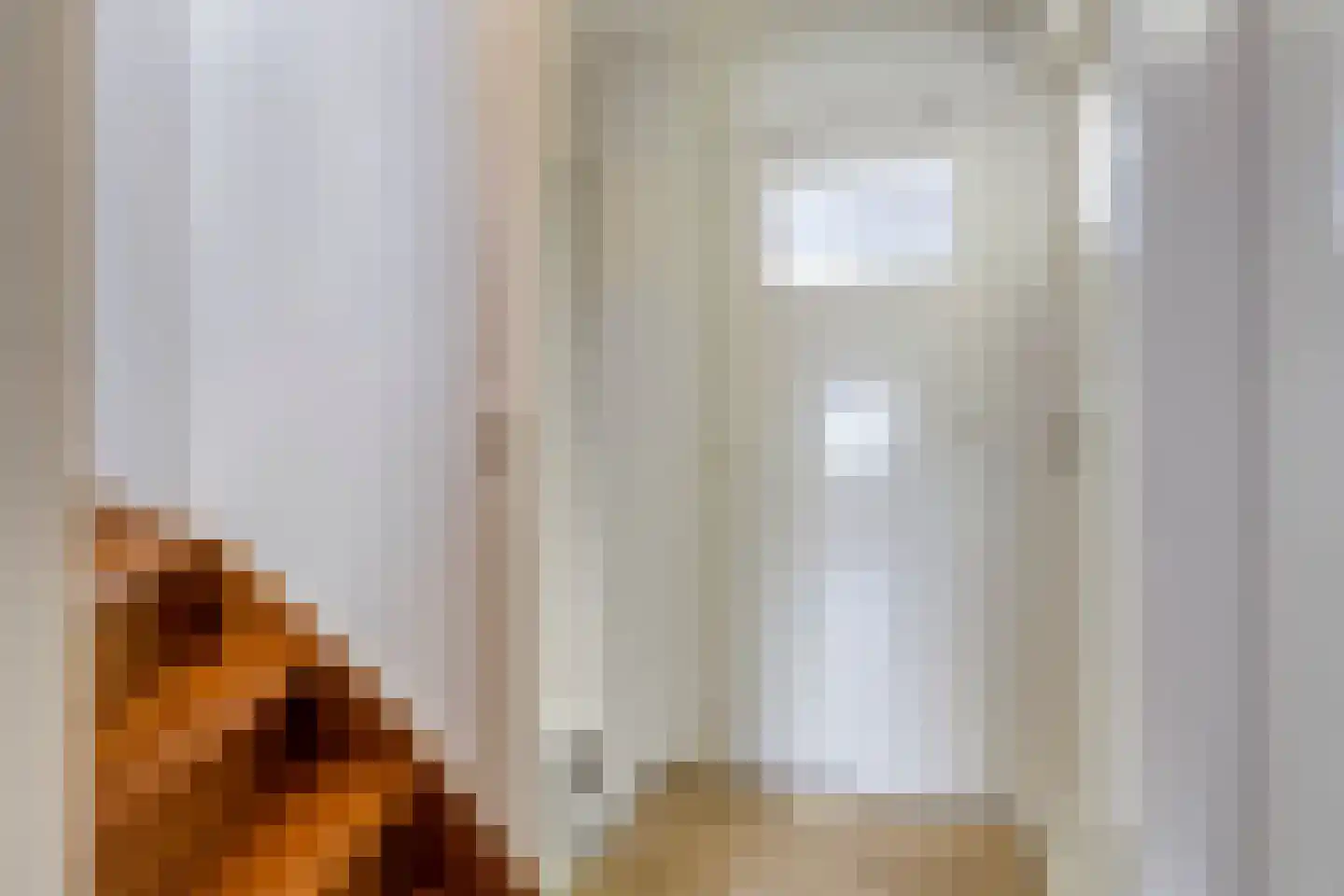 Pieter van Botlantlaan 8 Nieuw-Vossemeer thumbnail 23