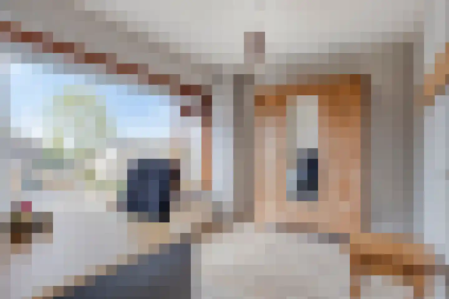 Pieter van Botlantlaan 8 Nieuw-Vossemeer thumbnail 28