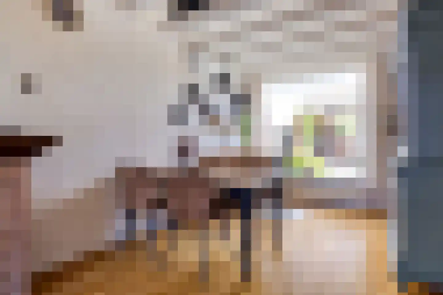 Pieter van Botlantlaan 8 Nieuw-Vossemeer thumbnail 4
