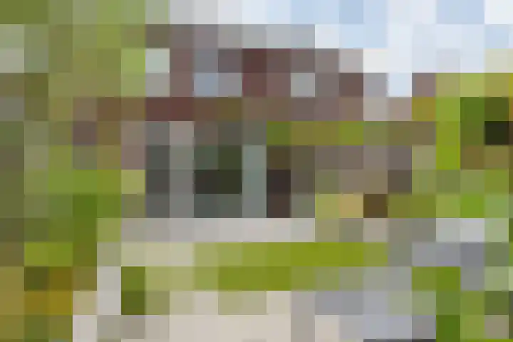 Pieter van den Hoogenbandstraat 23 Schiedam thumbnail 4