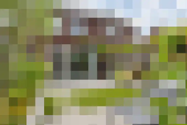 Pieter van den Hoogenbandstraat 23 Schiedam thumbnail 50
