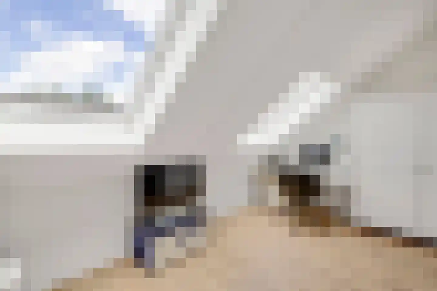 Pieter van den Hoogenbandstraat 35 Schiedam thumbnail 34