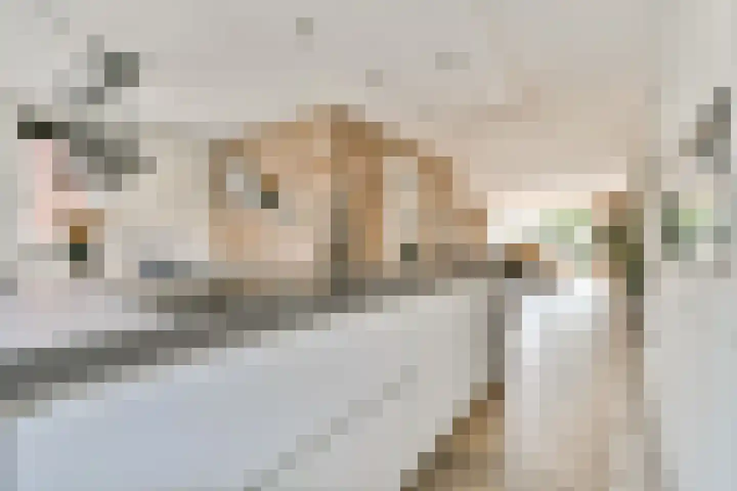 Pieter van den Hoogenbandstraat 38 Schiedam thumbnail 8