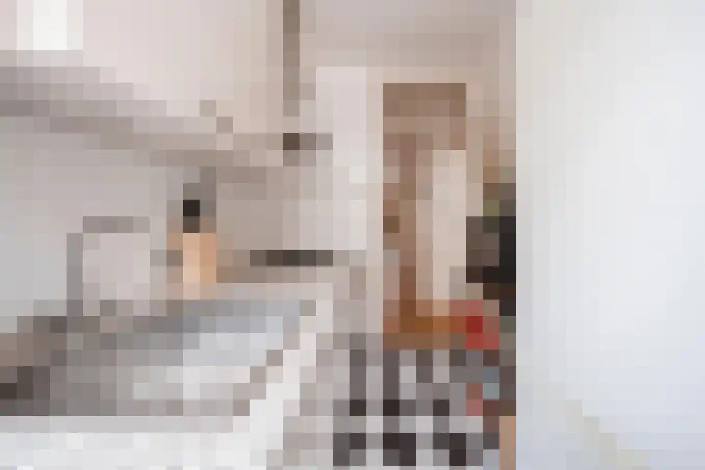 Pieter van den Zandestraat 11 Den Haag thumbnail 20