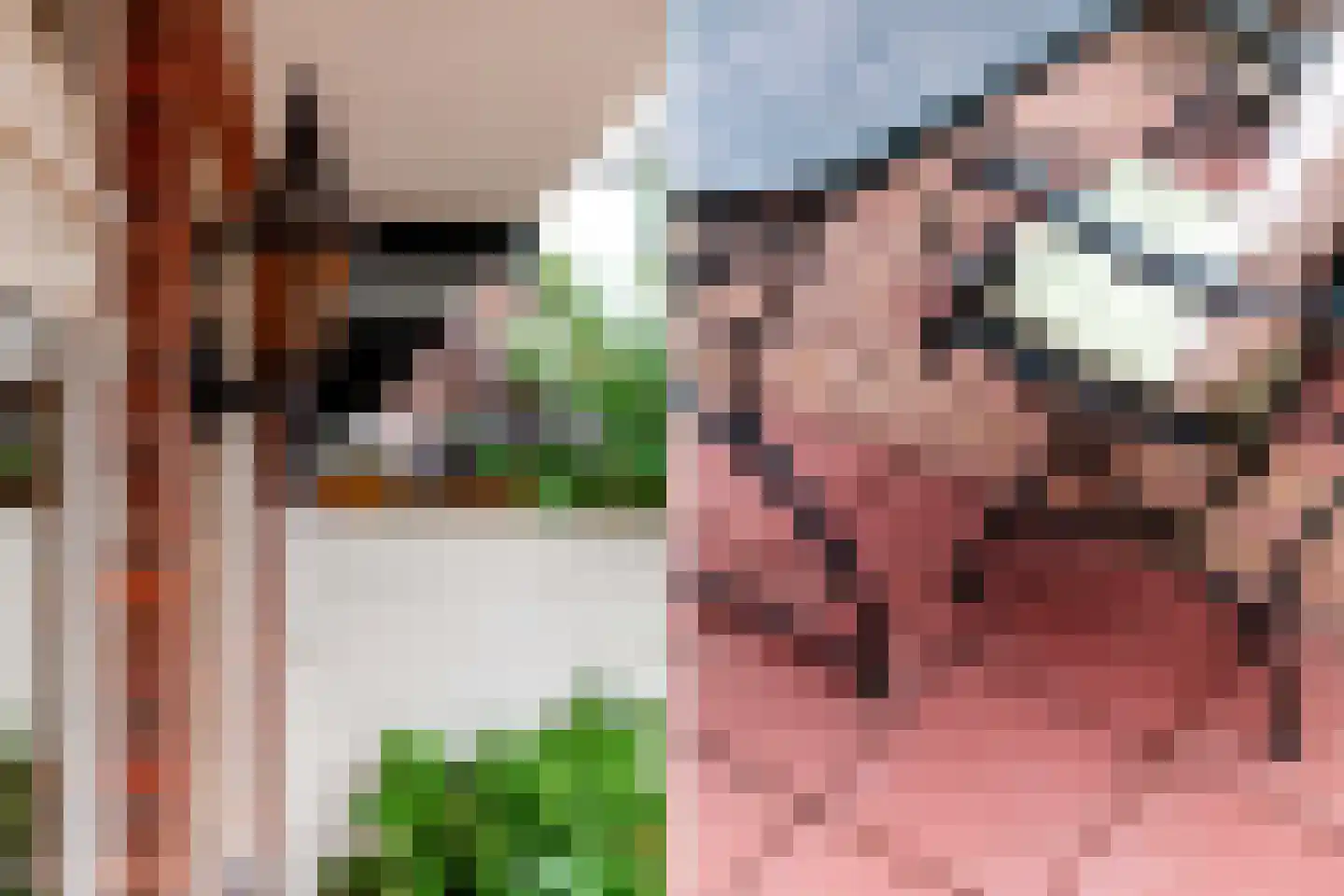 Pieter van den Zandestraat 11 Den Haag thumbnail 26