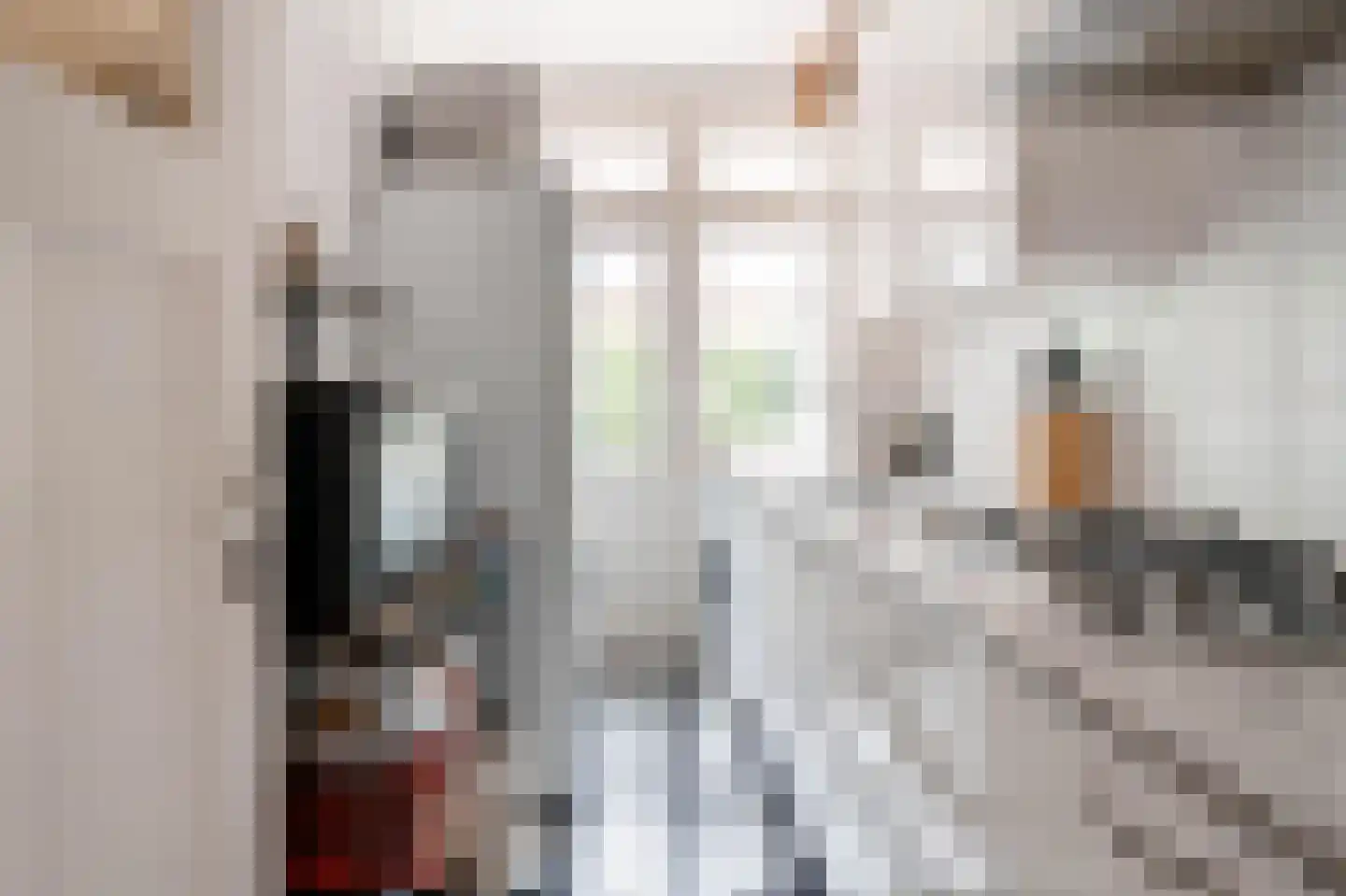 Pieter van den Zandestraat 11 Den Haag thumbnail 4