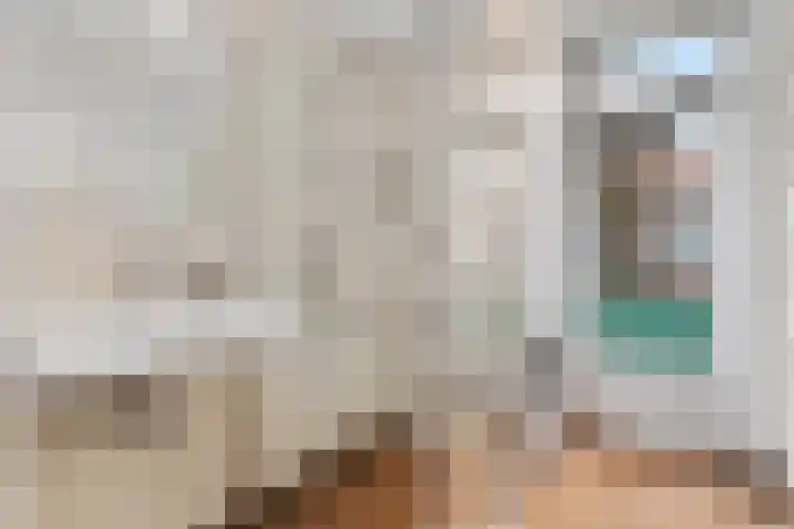 Pieter van den Zandestraat 15 Den Haag thumbnail 22